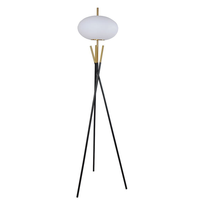 Floor Lamp - Black/Gold